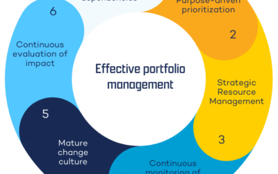 Effective Portfolio Management in 6 Phases