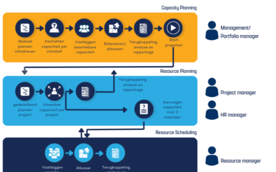 The roles involved in Strategic Resource Management